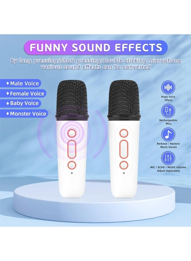 Karaoke Speaker - 2 microphones