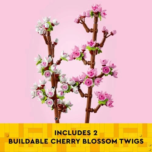 Cherry Blossoms Celebration Gift (40725) - Flowers
