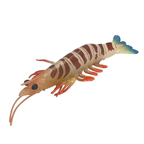 Marine Prawn - 18 months - 3 years