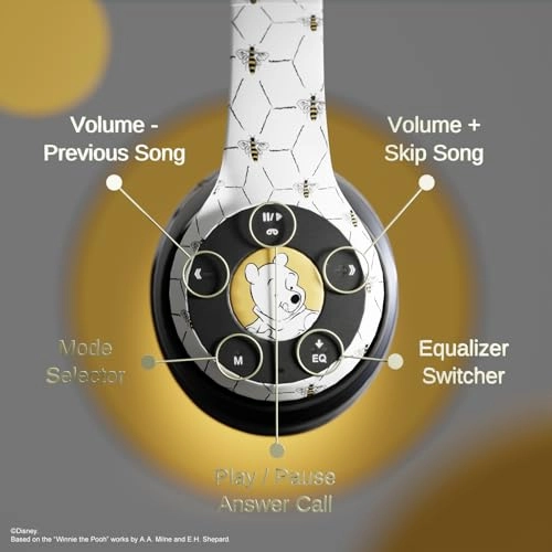 DS20308-AMZN Wireless Headphone