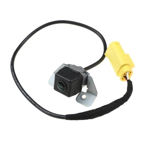 Reversing Camera - night vision