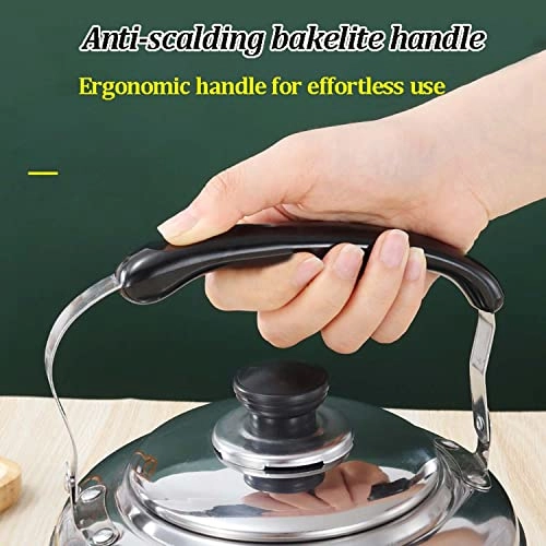 Stovetop Induction Whistling Kettle - 5L