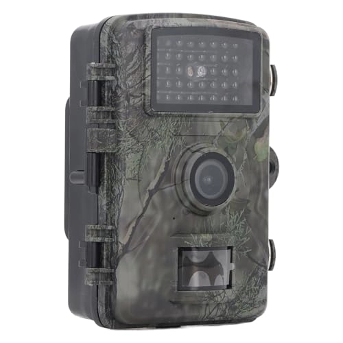 Camera 1080P