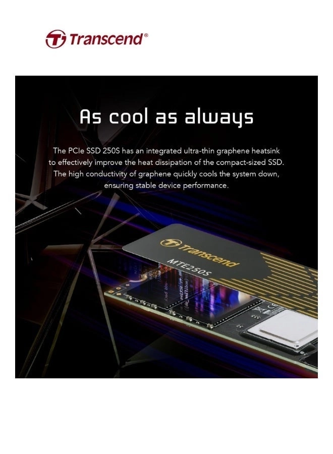 PCIe SSD 250S - 2TB M.2 2280