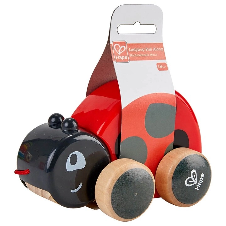 Baby Need Ladybug Pull Along