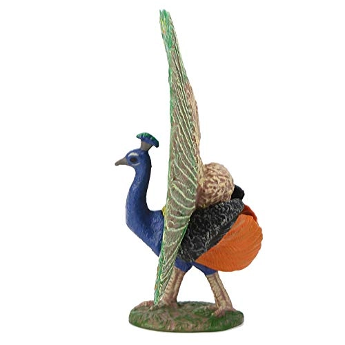 Peacock Model - 18 months - 3 years Peacock 1