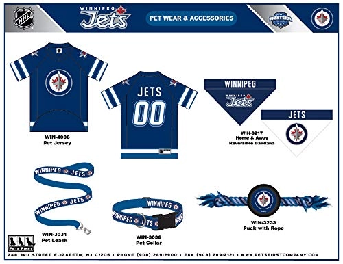Winnipeg Jets Collar - Small Dogs & Cats