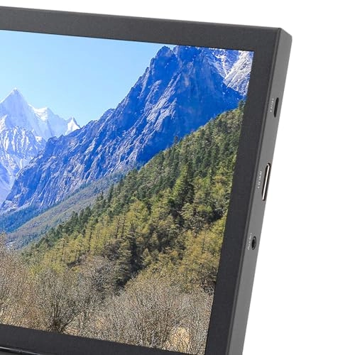 Small HD Monitor - 1024x768 10.1in