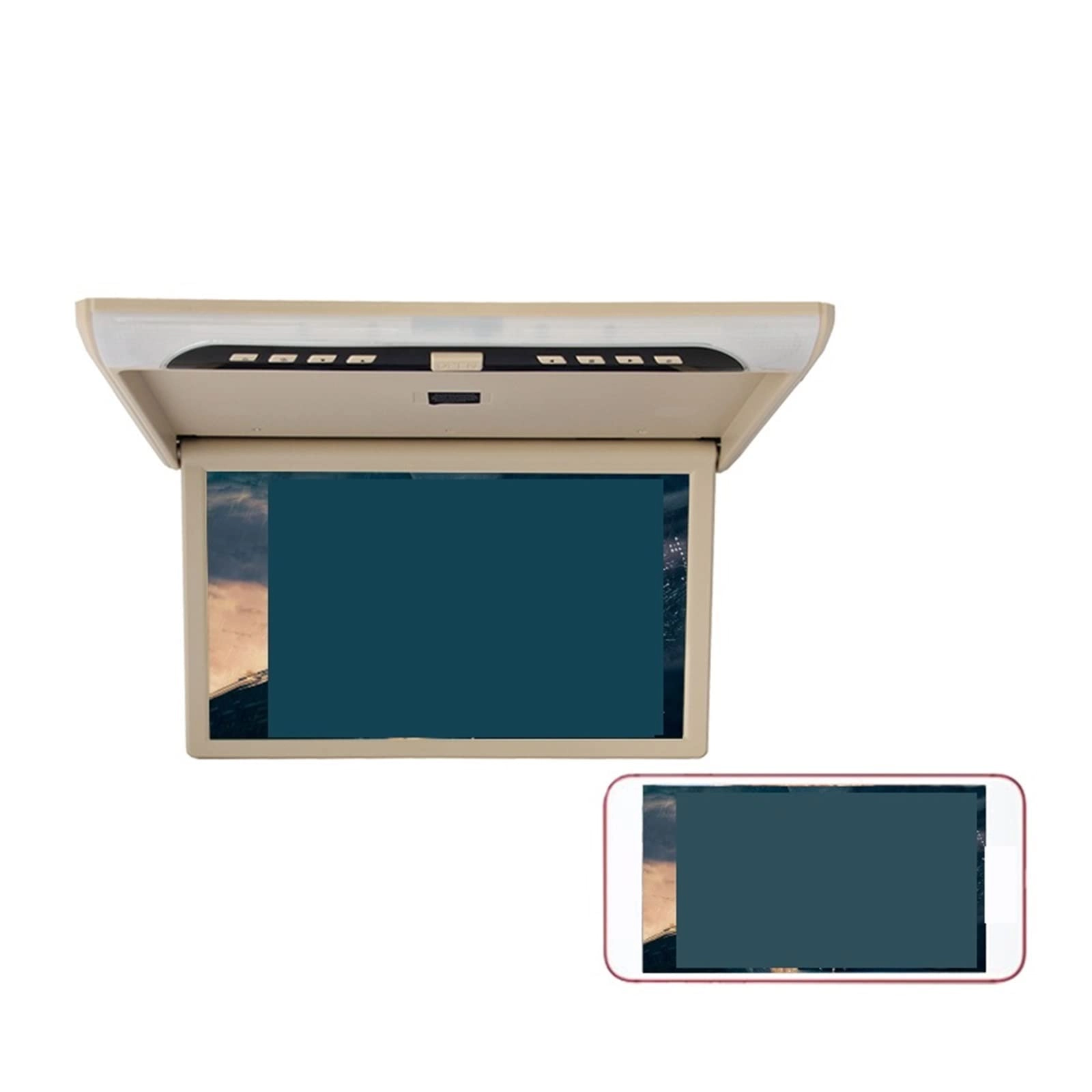 Car Monitor - 19 inch