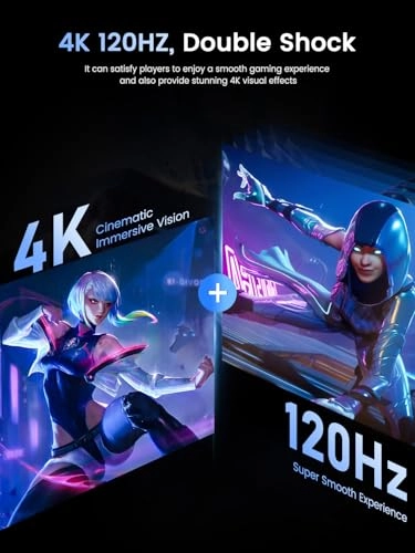 Portable Monitor - 3840 x 2160 Pixels 17.3 Inches