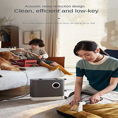 steam cleaner - steam cleaning 1600W