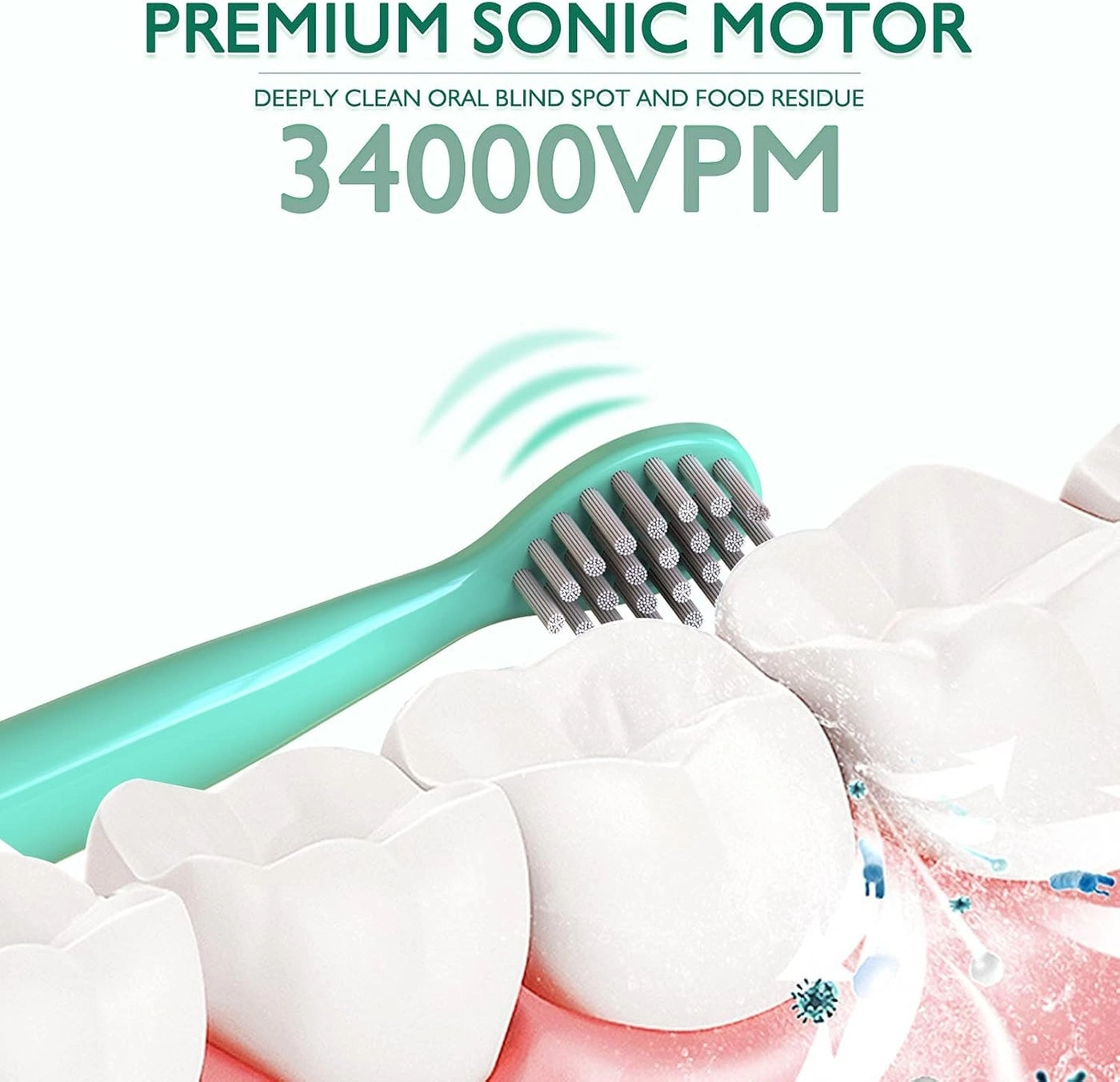 Kids Sonic Electric Toothbrush - Cute Bear 4 Brush Heads 2 Min Timer