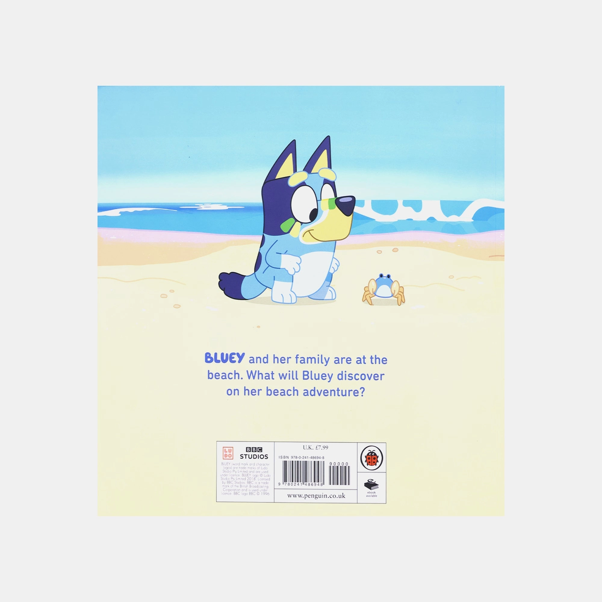 Bluey - The Beach