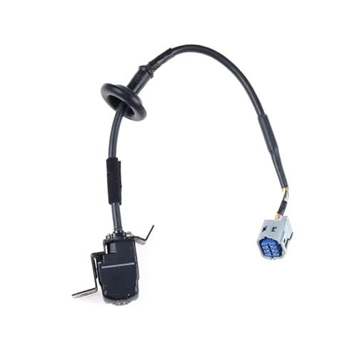Rear Camera - Night vision