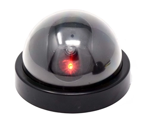 Dummy Security Dome Camera - Indoor, Outdoor Set