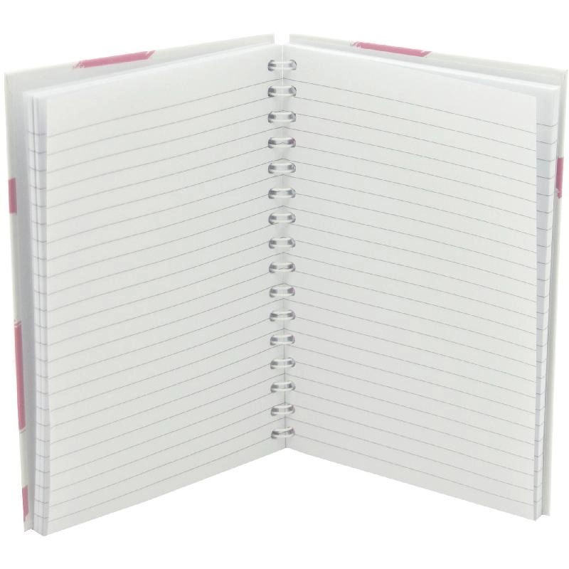 Notebook 19 X 26 cm Spiral - Grid 100 Sheets