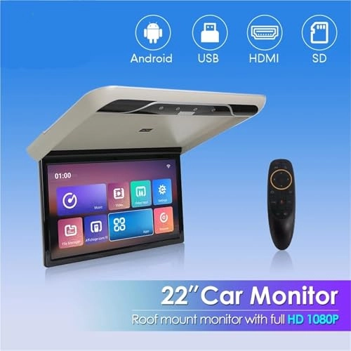 Car Roof Monitor - 22 Inch