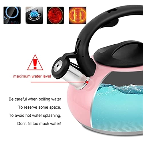 Whistling Kettle - 2.5L