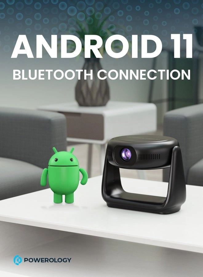 PWHDPBNBK 300 ANSI Lumens