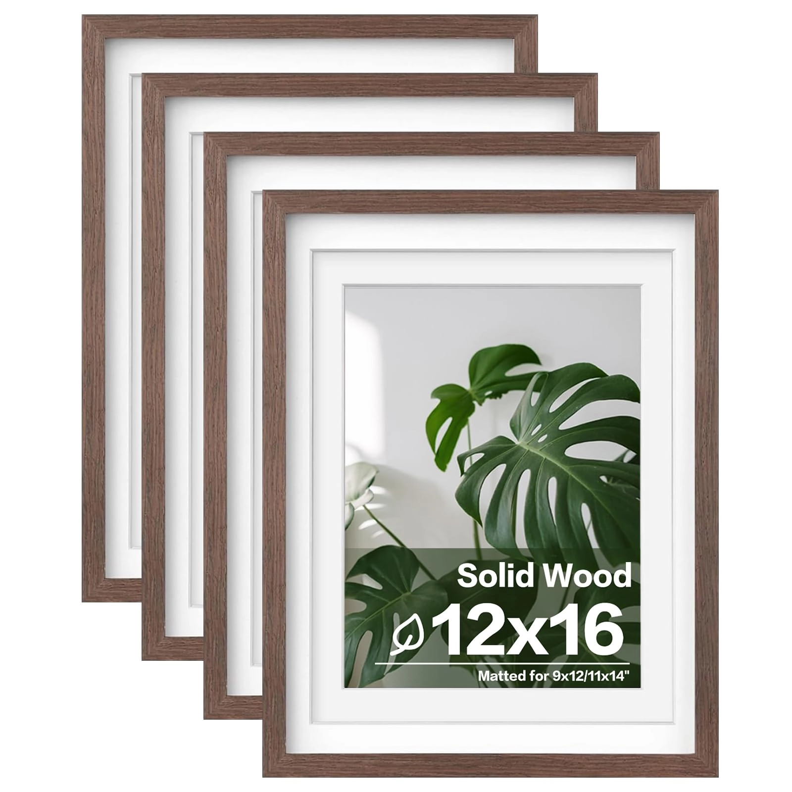 picture frames - 12x16