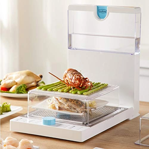 Electric Steamer - 3