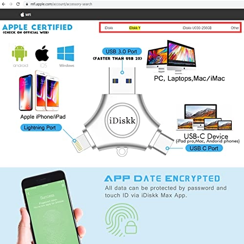FLASHDRIVE - 256GB USB C