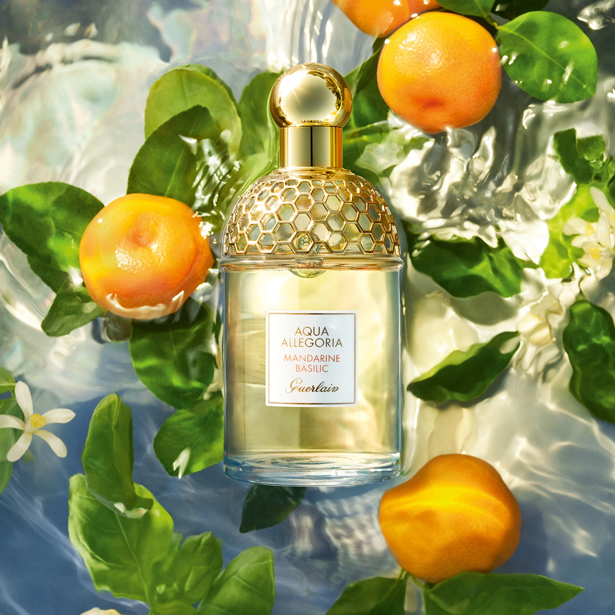 Aqua Allegoria Mandarine Basilic - Eau de Toilette 125 ml