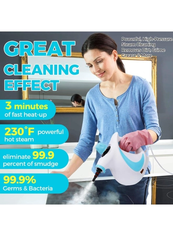 ew-steamcleaner - 300ml