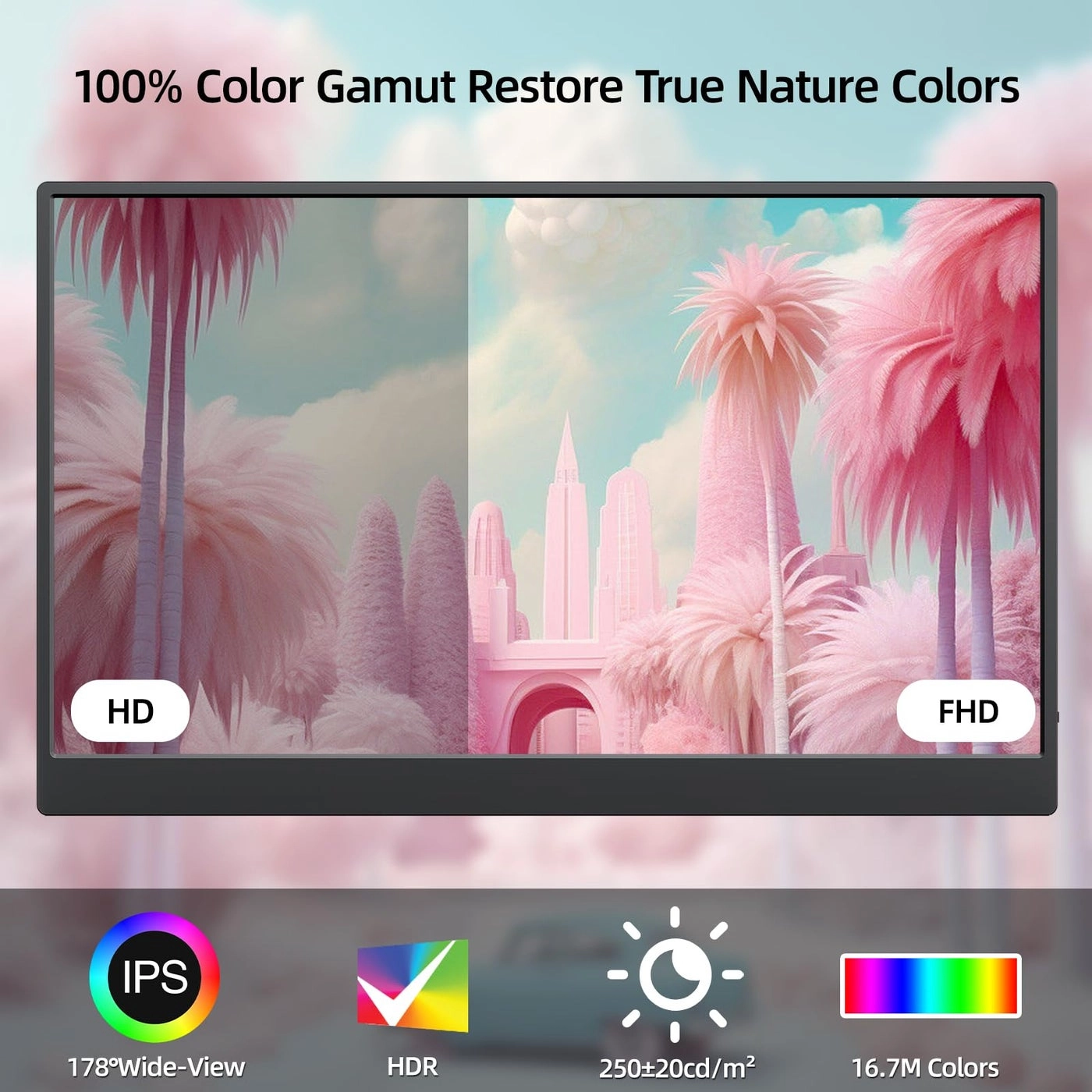 ZG156FH - 1920x1080 15.6 inch