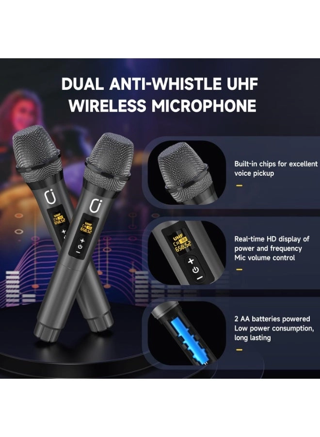 Karaoke machine - 2 wireless microphone