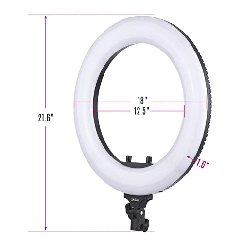 Ring Light - 19 Inch