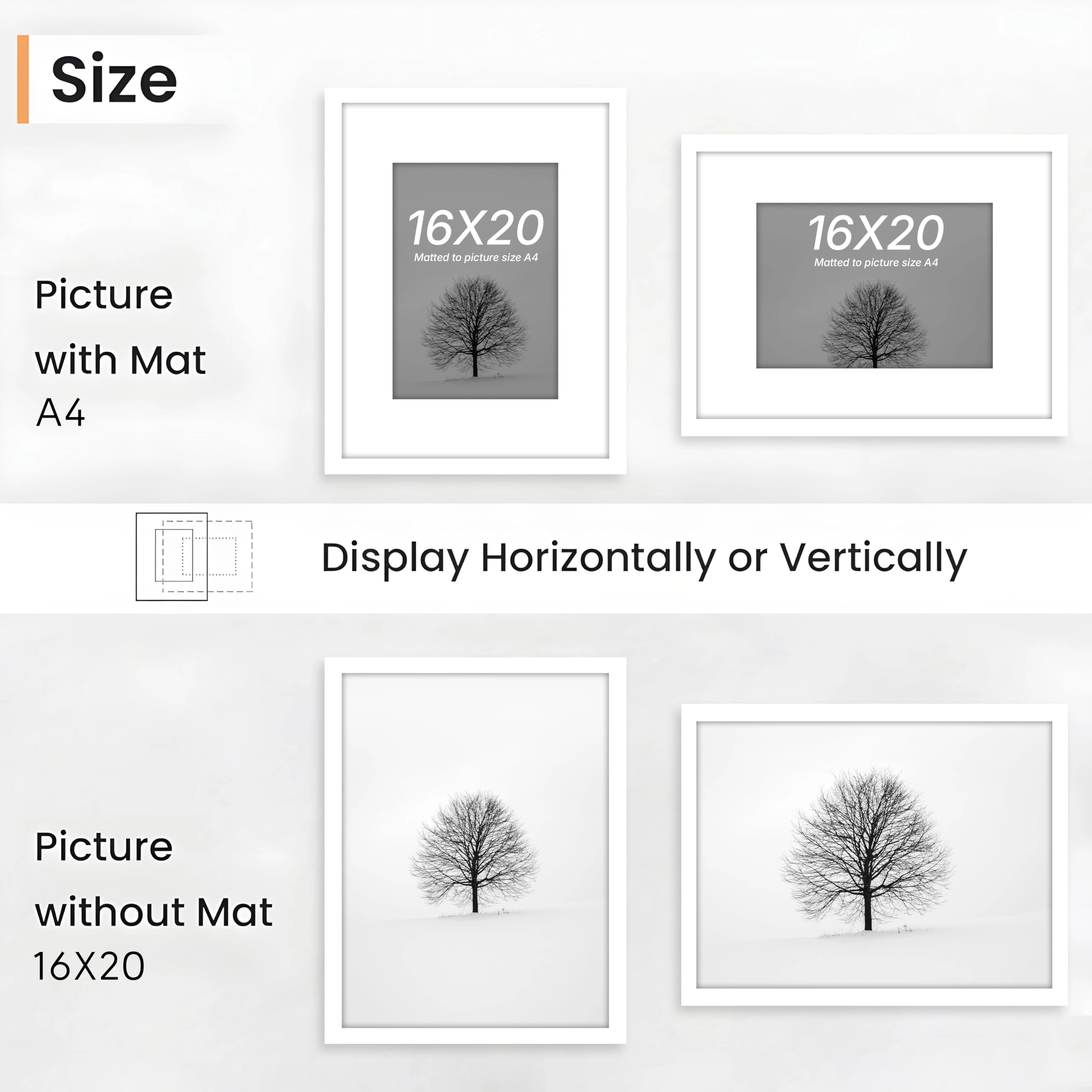 Document Frame - 16x20 Inch