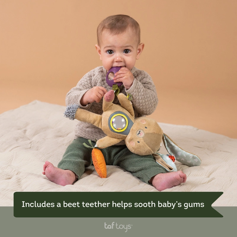 Jenny The Bunny - 0 MONTH +