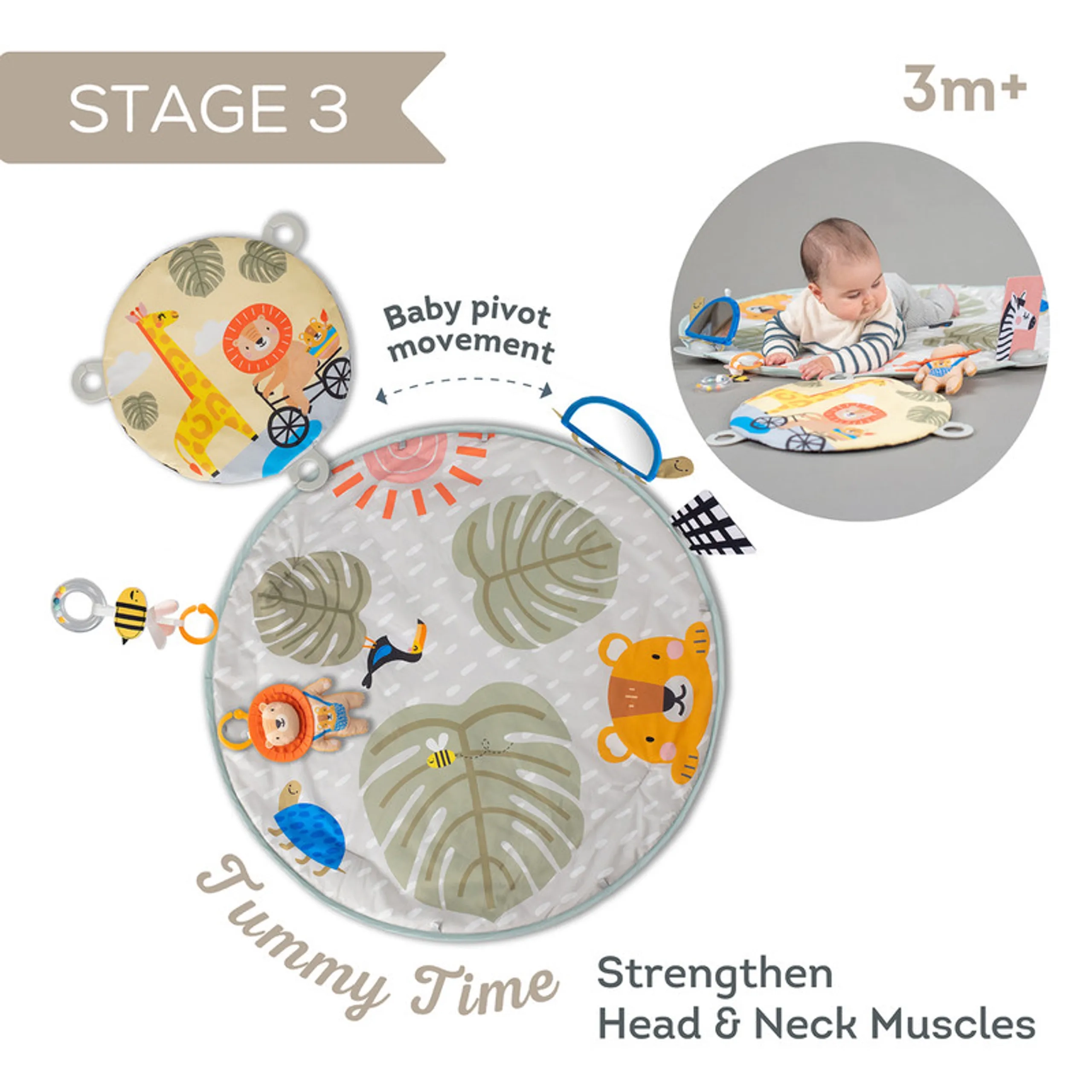 Savannah 360 Activity Gym - 0 month