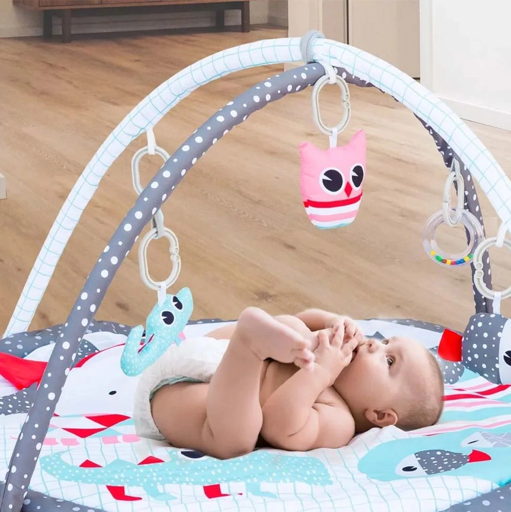 Perky Baby Playmat And Activity Gym Good Day