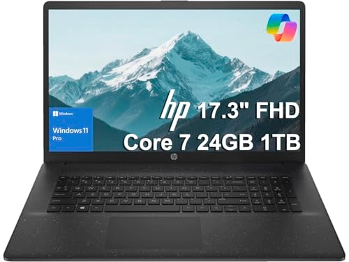 17 - 17.3'' 1 TB 24 GB Core i7 Family