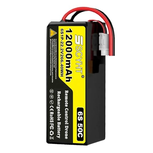 LiPo Battery 6S - 12000mAh