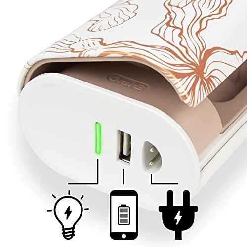 Genius Series Travel Toothbrush Kit - 1 Handpiece 2 Toothbrush Heads Dragonfly Gold