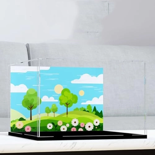 Acrylic Display Case