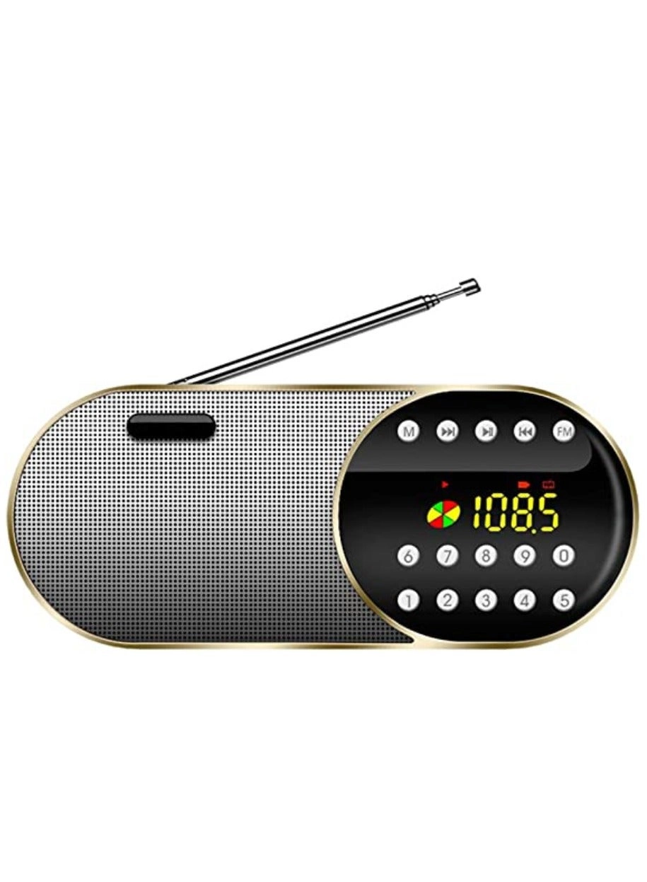 Multiband Radio - Portable