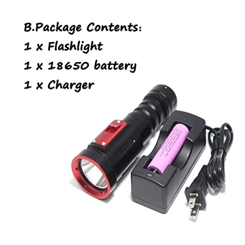 Professional Submersible Light - 5000LM IPX8