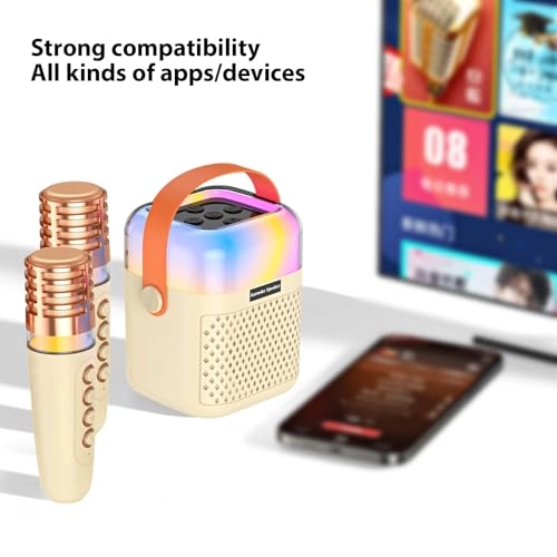 Karaoke Machine - 2 15W