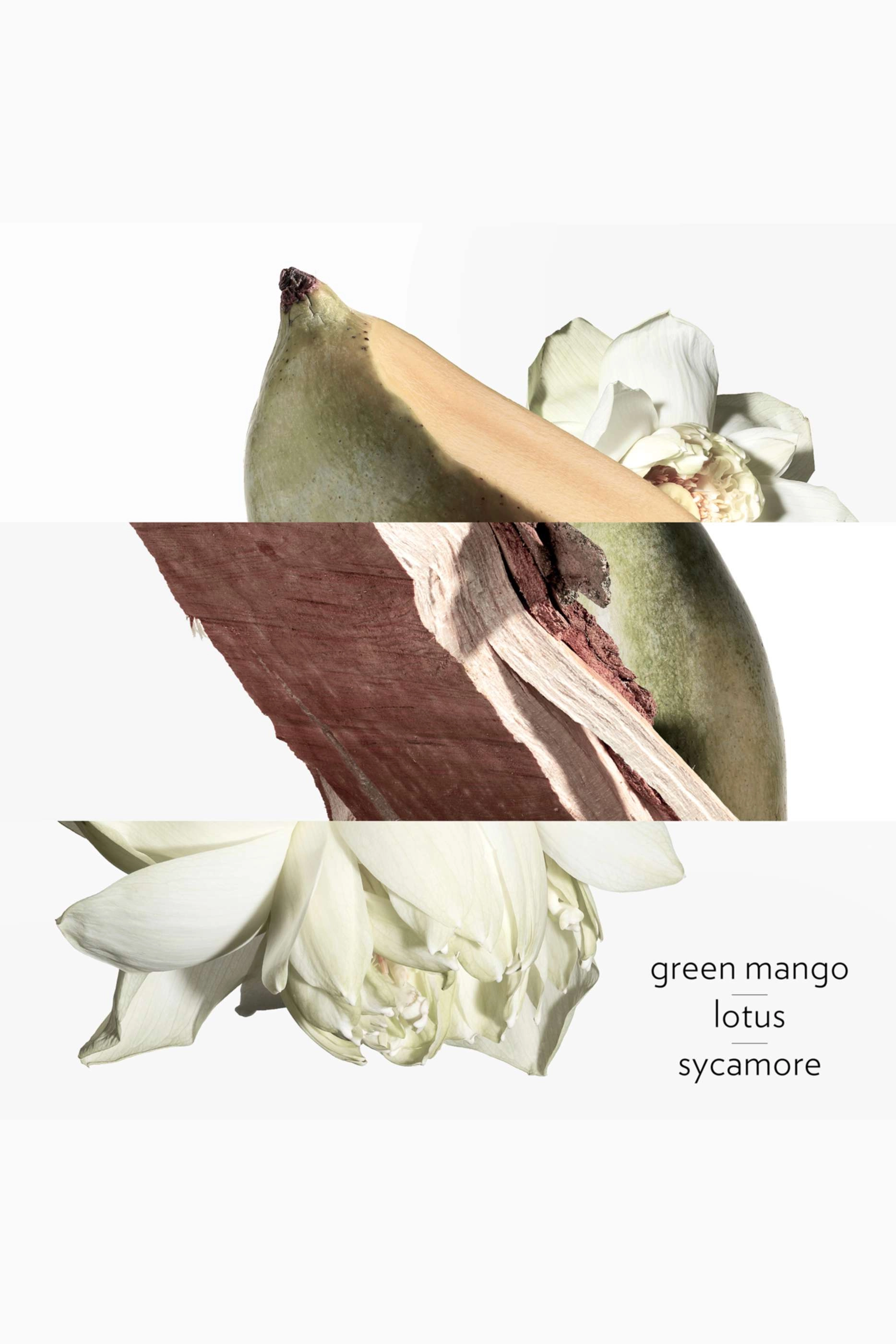 Un Jardin Sur Le Nil - 30ml green woody