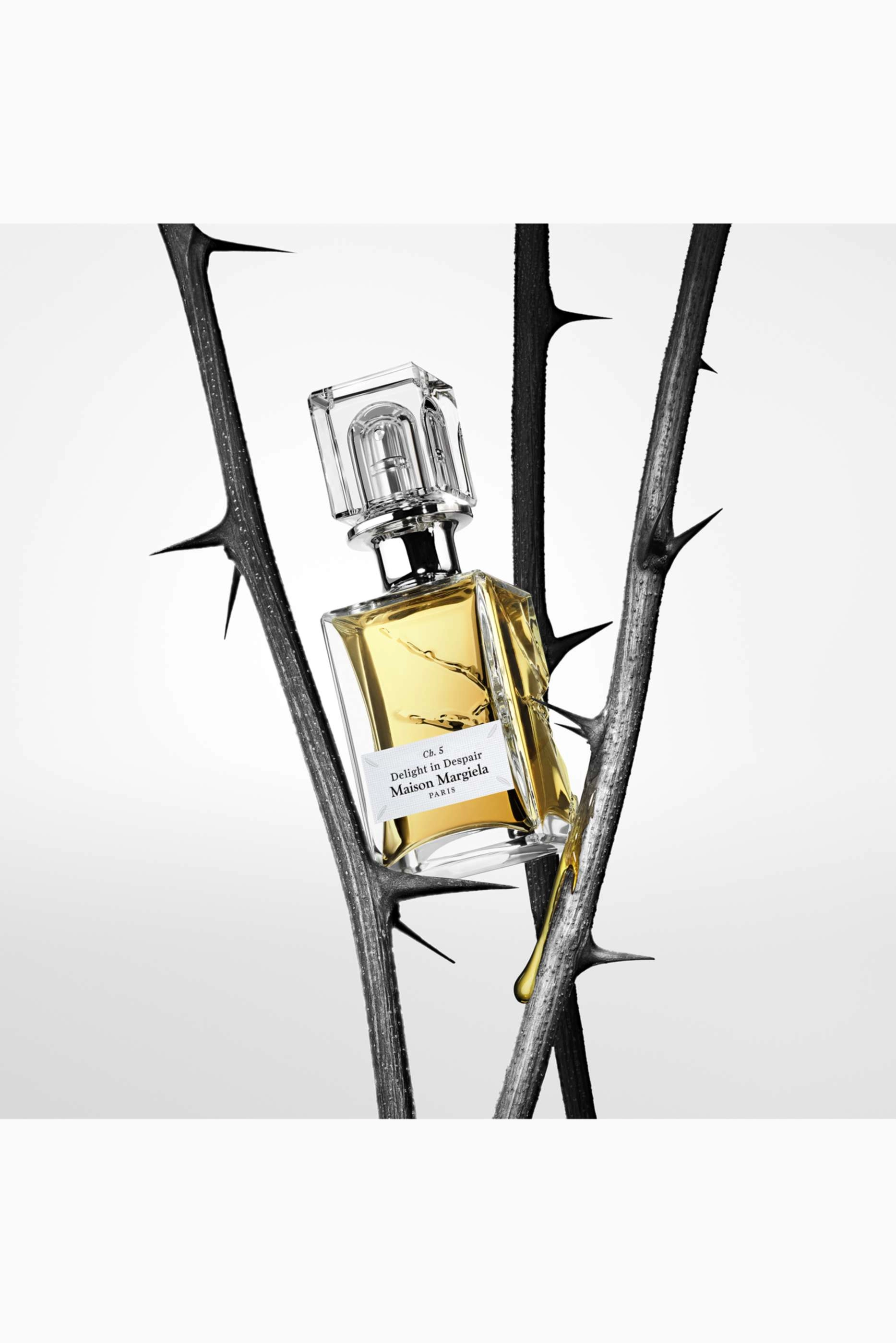 Scentsorium Collection Delight in Despair Eau de Parfum 75ml