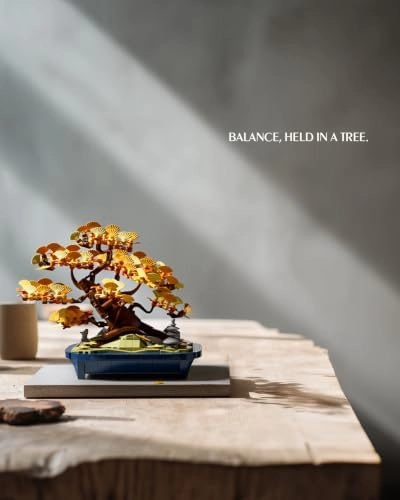 Ginkgo Bonsai Tree