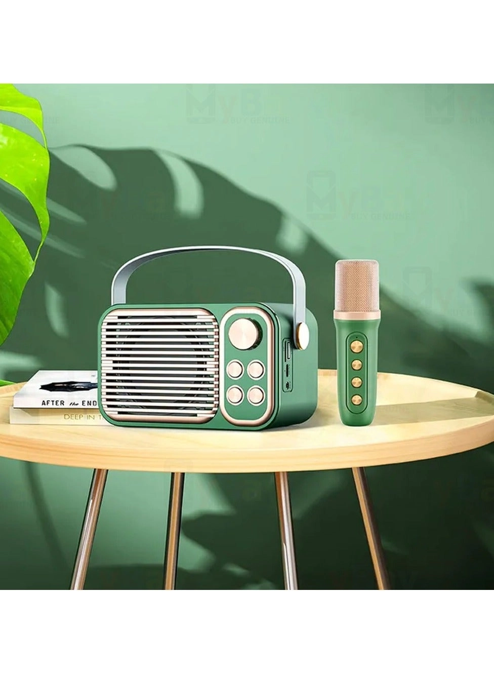 Wireless Karaoke speaker