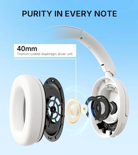 W800BT SE Wireless Headphone