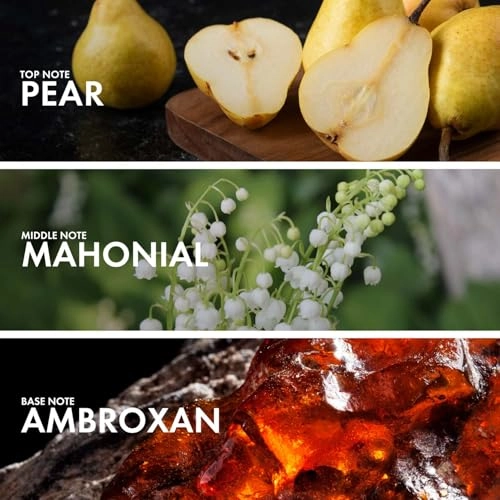 Pear Jasmine Eau de Parfum - 50ml