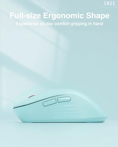 SM66 Silent Dual-Mode Mouse - Wireless