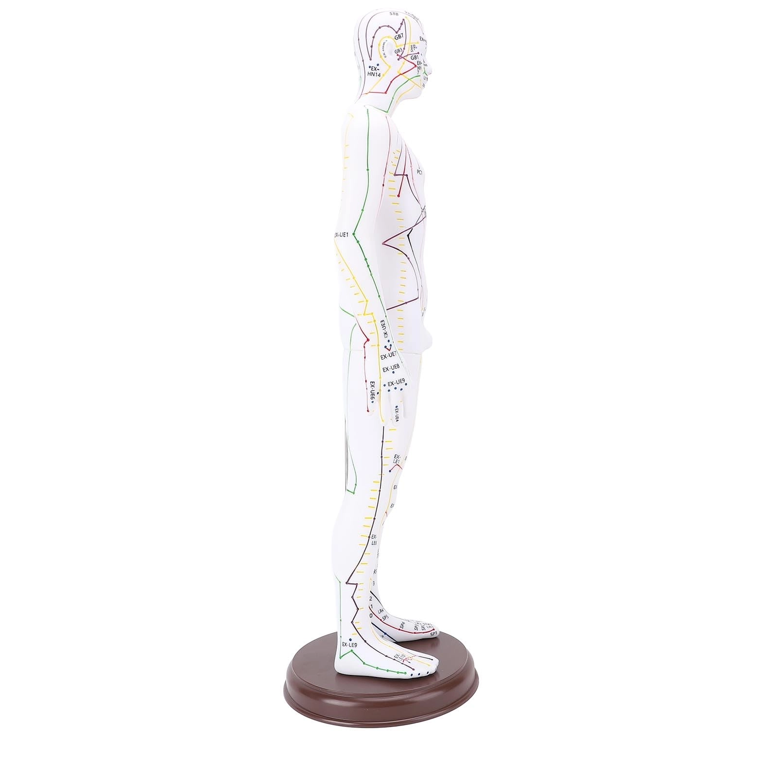 Acupuncture Doll